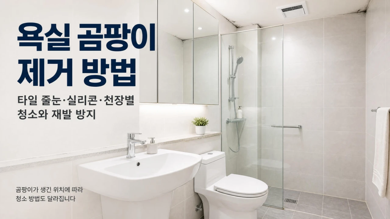 욕실 타일 줄눈 실리콘 천장에 생기는 곰팡이 위치를 구분한 설명 이미지